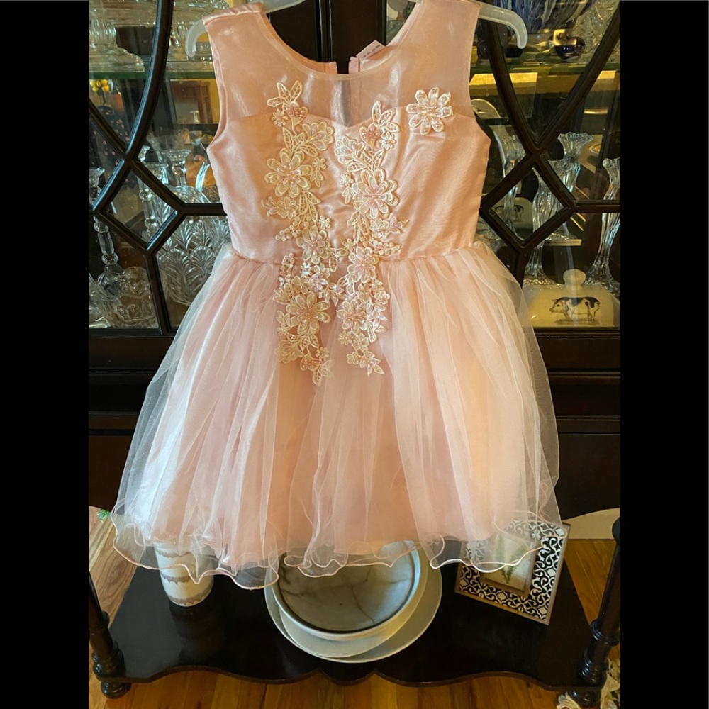 Dreamer P- Girls 3D flowers embroidered dress